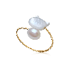 Ring2